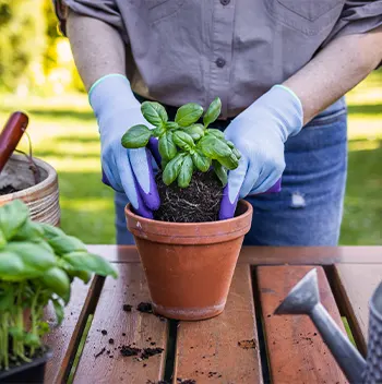 Pots et jardinieres design